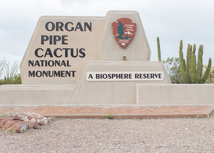 Organ Pipe Cactus National Monument!