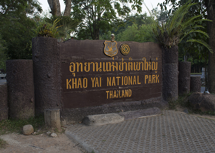 Khao Yai National Park!