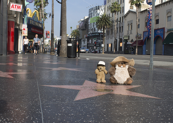The Hollywood Walk of Fame!