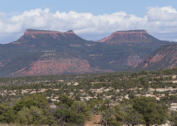 The Push to Repeal or Replace Bears Ears!