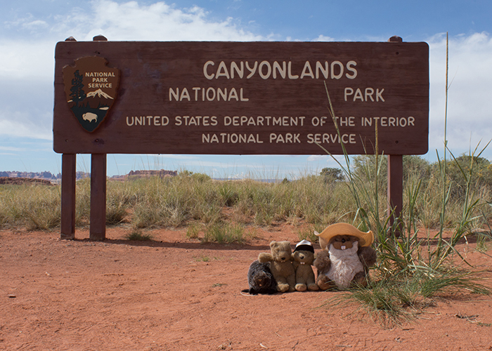 Canyonlands National Park!
