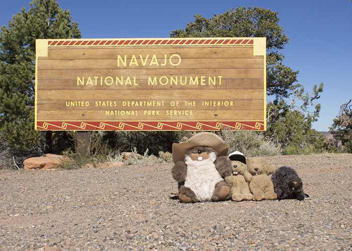 Navajo National Monument!
