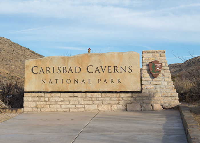 Carlsbad Caverns National Park!