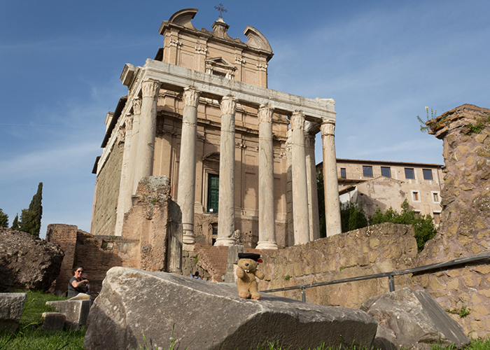 The Temple of Antoninus and Faustina!