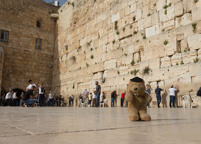 The Western Wall!