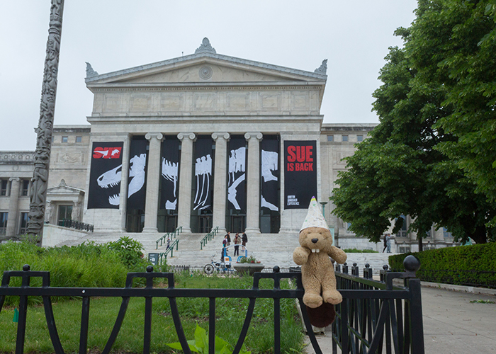 The Field Museum!