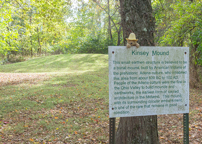 Kinsey Road Mound!