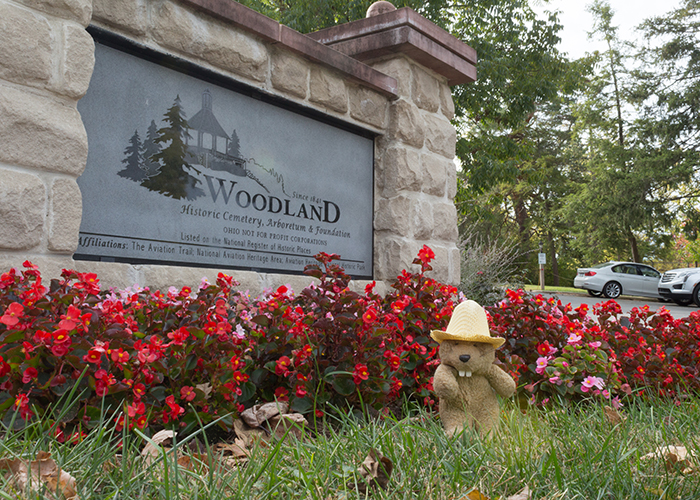Woodland Cemetery and Arboretum!