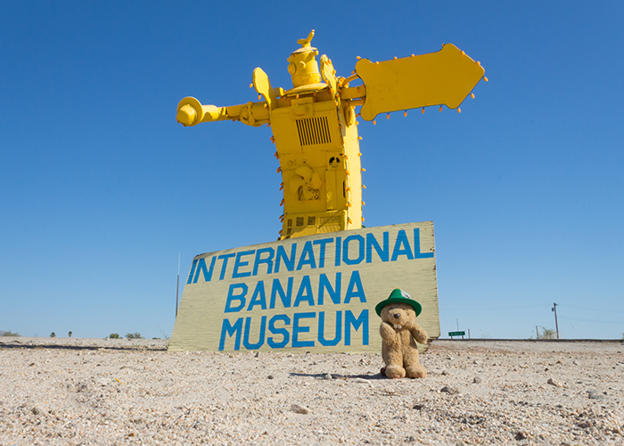 The International Banana Museum!