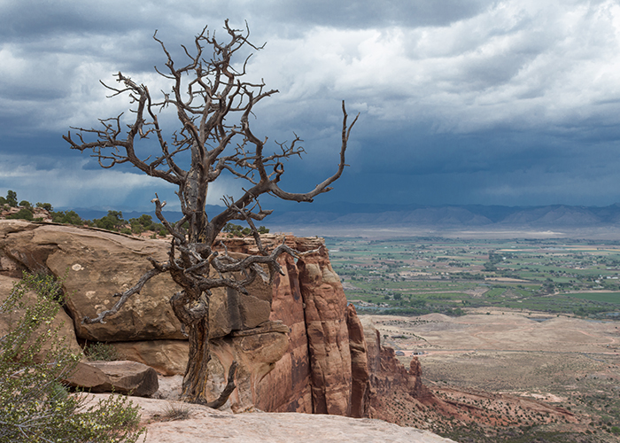The Windy, Winding Way through Colorado National Monument!