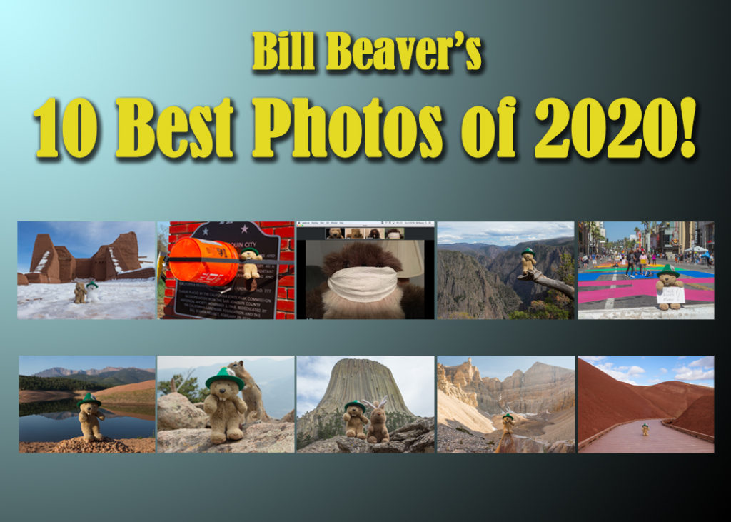 Bill’s 10 Best Photos of 2020!
