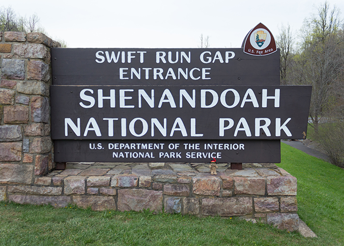 Shenandoah National Park!