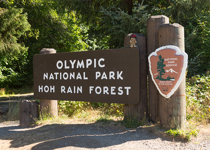 Olympic National Park!