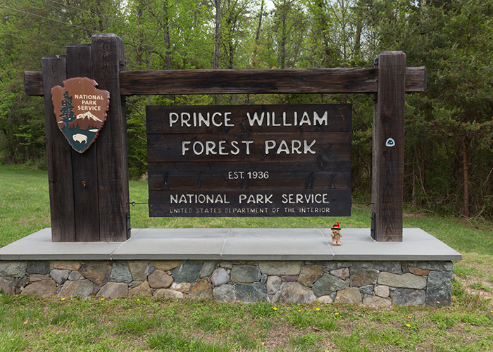 Prince William Forest Park!
