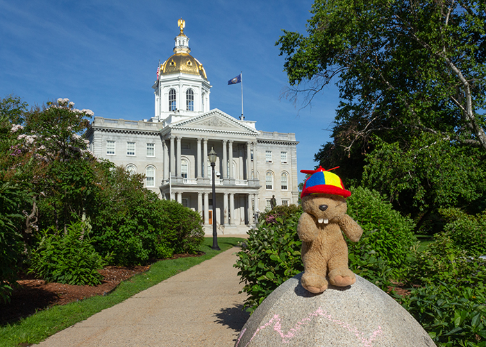 New Hampshire State Capitol!