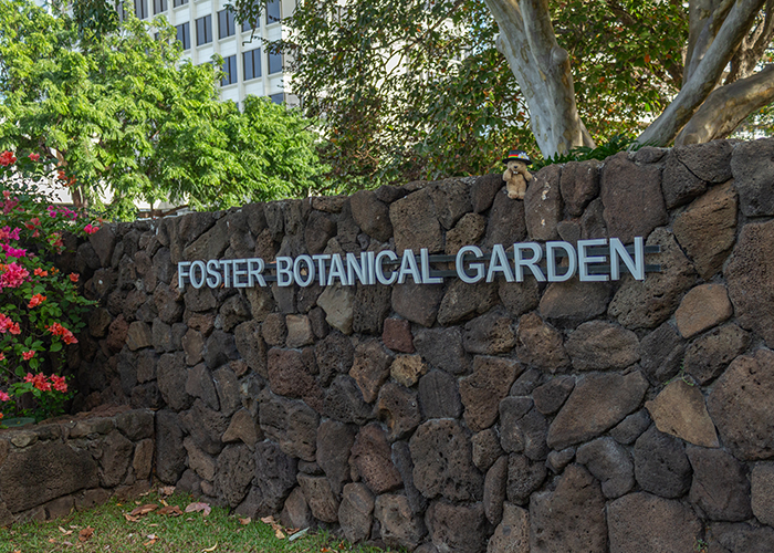 Foster Botanical Garden!