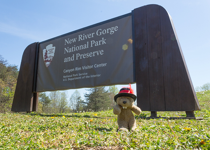 New River Gorge National Park and Preserve!