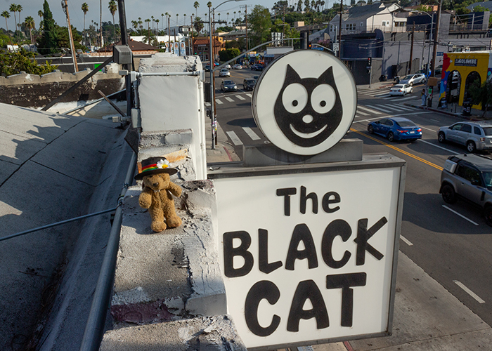 Black Cat Tavern!