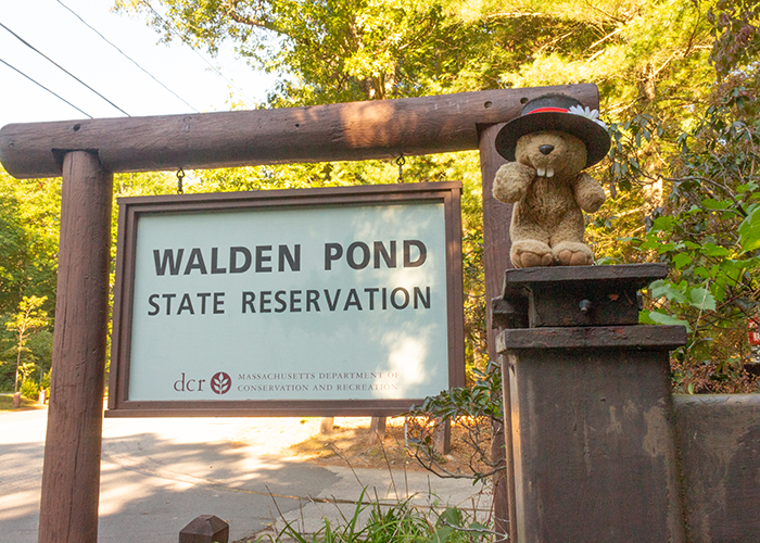 Walden Pond!