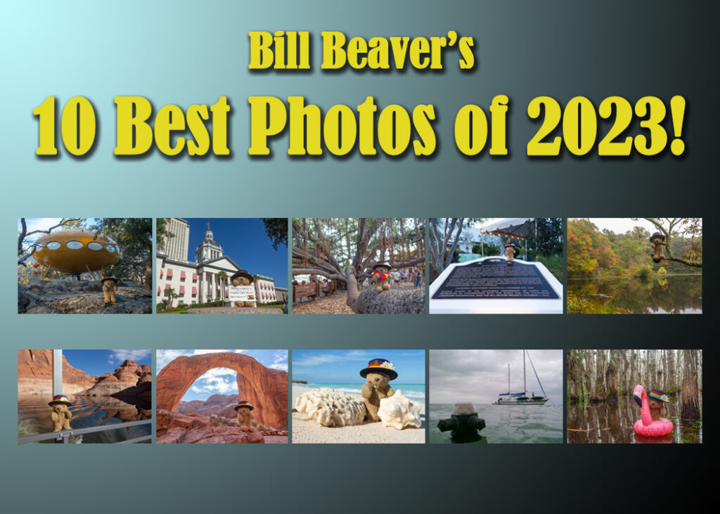 Bill’s 10 Best Photos of 2023!