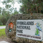 Everglades National Park!