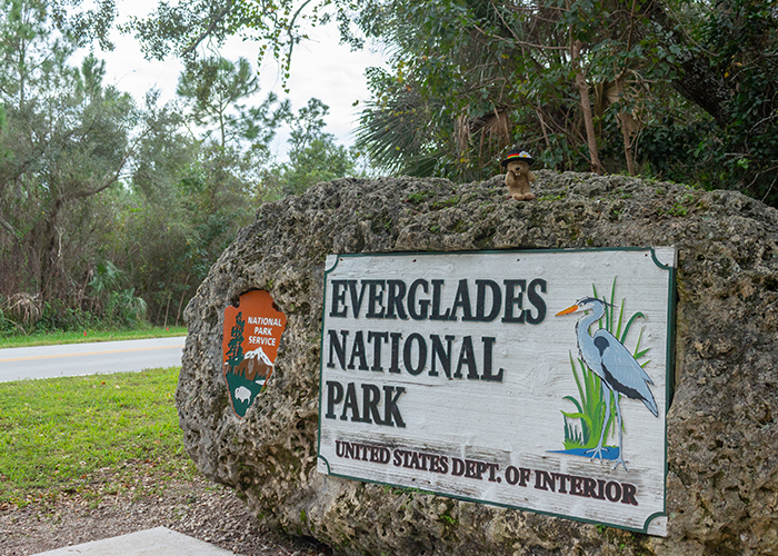 Everglades National Park!