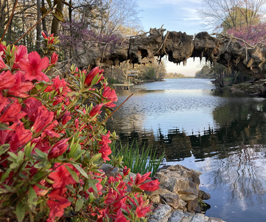 The Hidden Gems of a Hot Springs Firstbud!