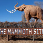 Mammoth Site of Hot Springs, South Dakota!