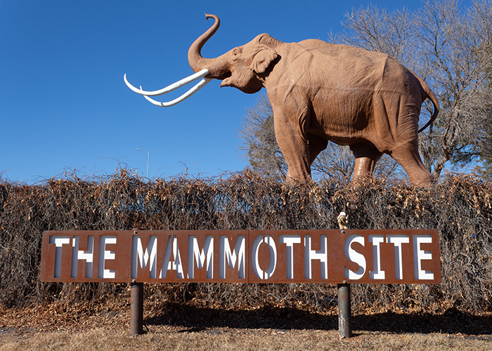 Mammoth Site of Hot Springs, South Dakota!