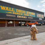 Wall Drug Store!