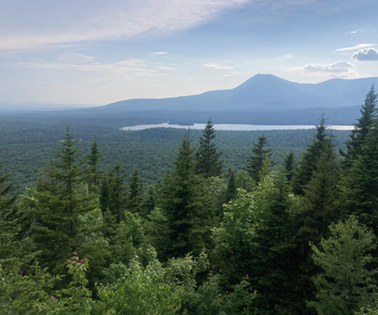 Maine-ly Bugged by Katahdin Woods and Waters!