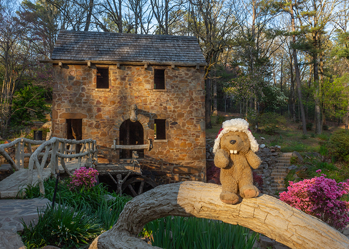 Old Mill at T.R. Pugh Memorial Park!