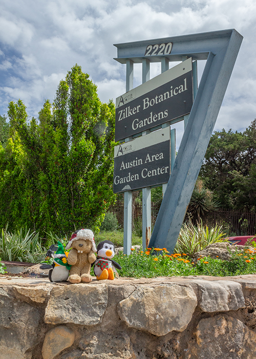 Zilker Botanical Garden!