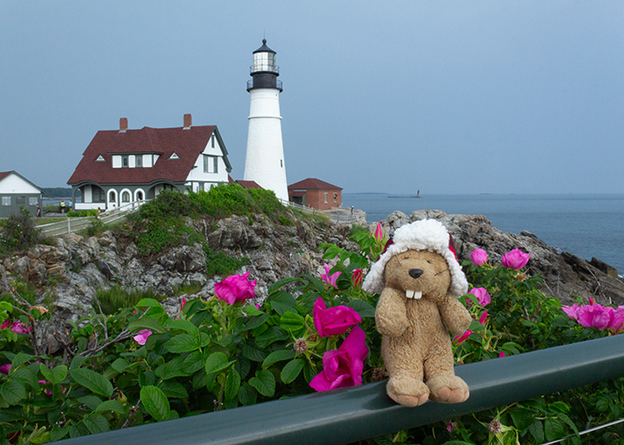 Portland Head Light!