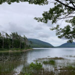 Rainy Reflections on Acadia!