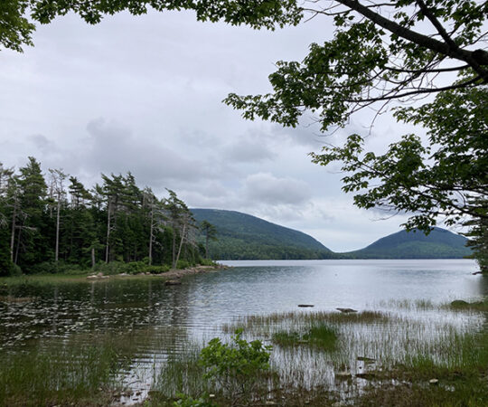 Rainy Reflections on Acadia!