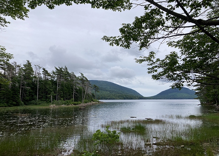 Rainy Reflections on Acadia!