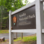 Acadia National Park!