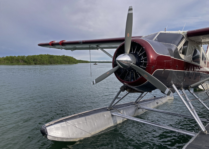 A Brooks Camp Bear-rel Roll!