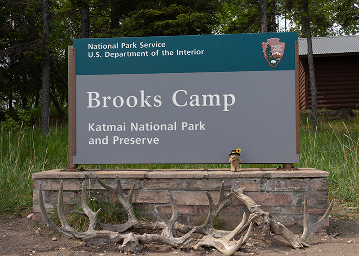 Katmai National Park & Preserve!