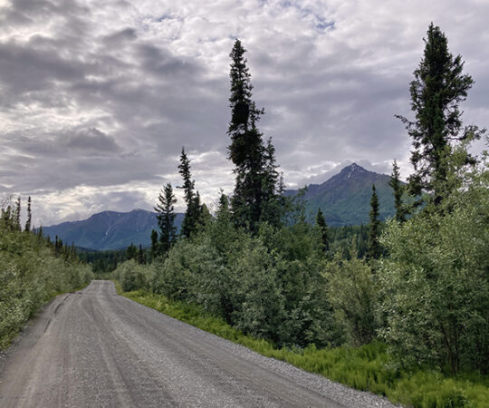 Down, Down, Down McCarthy Road!