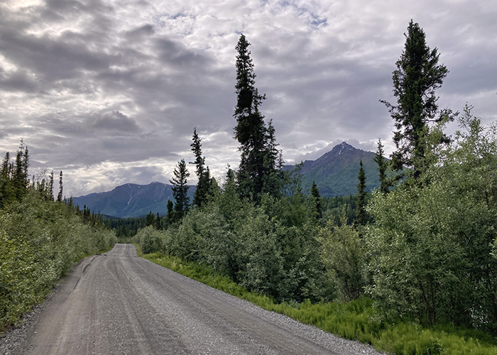 Down, Down, Down McCarthy Road!