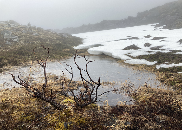 Katmai Trek 4: Vista Camp to Cold Camp!