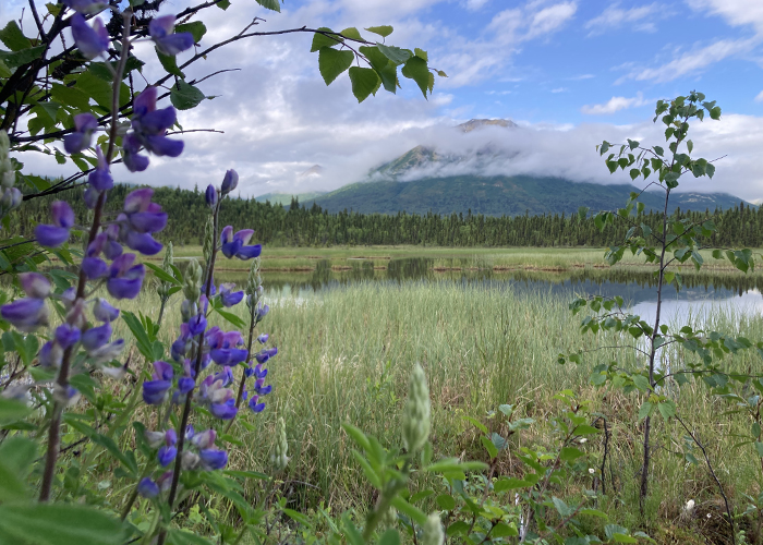 Nitpicking My Way Through Lake Clark National Park (and Preserve)!