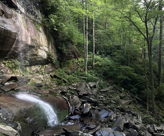 Just a Smoky Mountain Sunday!