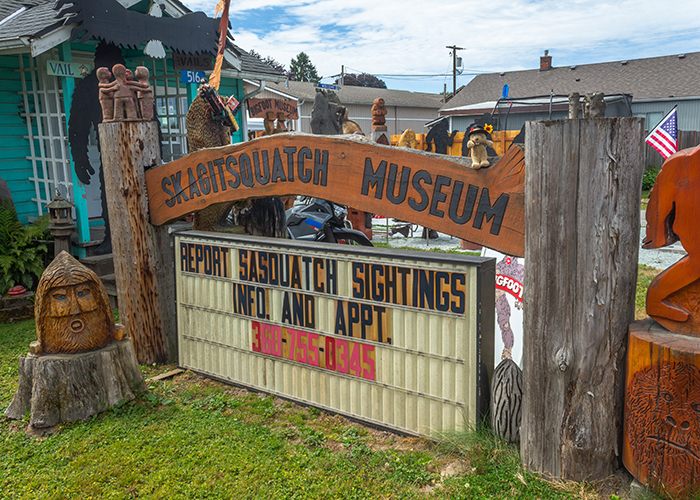 Skagitsquatch Museum!