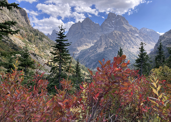 Let Me Show You My Tetons!