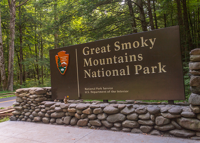 Great Smoky Mountains National Park!