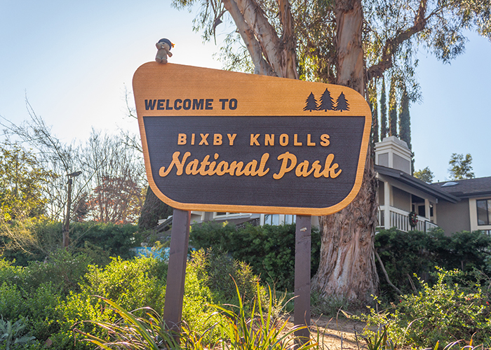 Bixby Knolls “National Park!”
