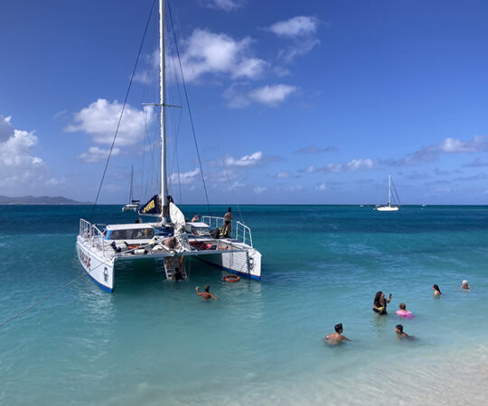 Bucked Outta Buck Island!